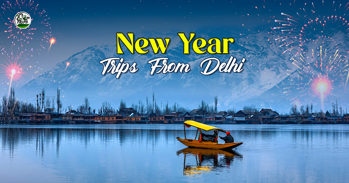 New years tour package 2026